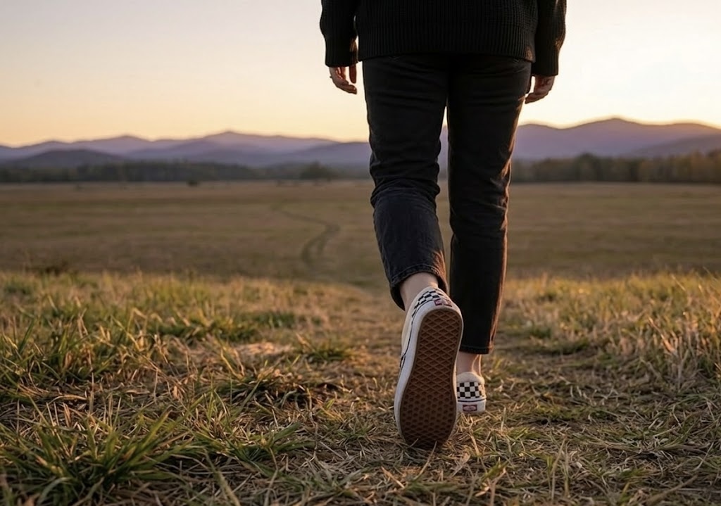 A walk through an open field