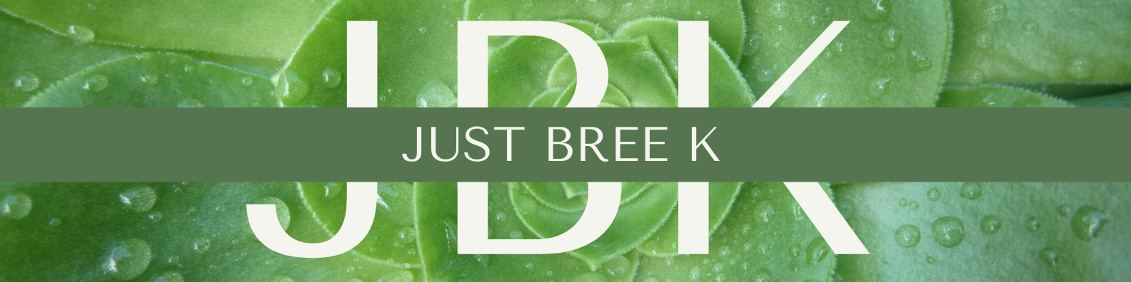 Just Bree K